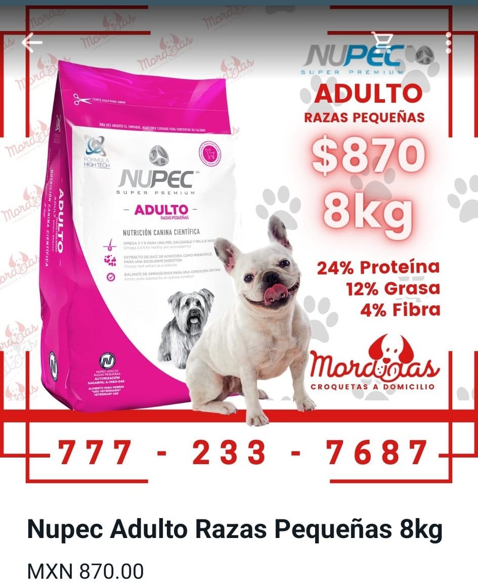 WhatsApp y recibe en 2 hrs